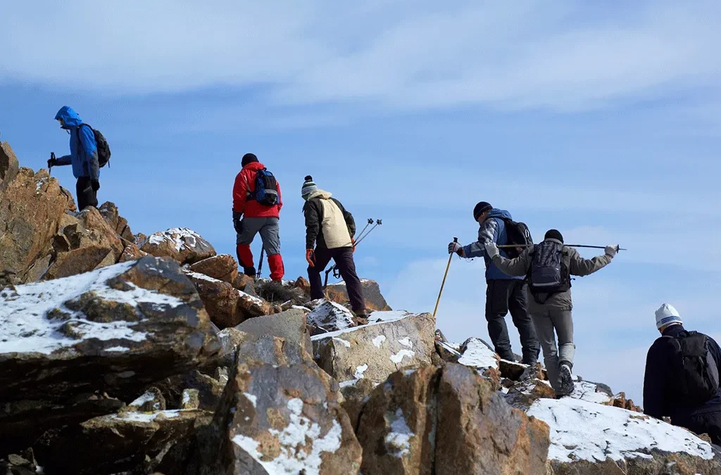 Safari Tours To Mount Kenya