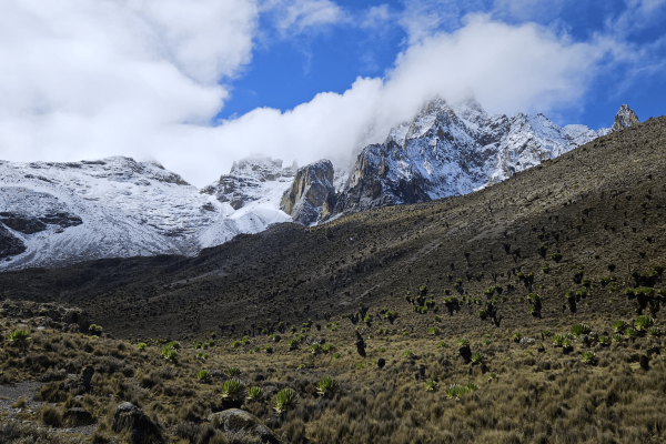 Mount Kenya Climbing Tour Packages