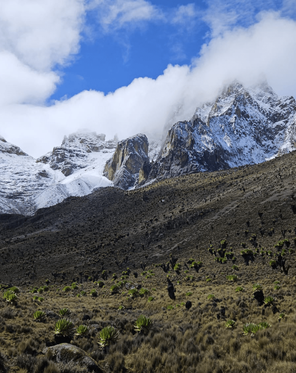 Mount Kenya Climbing Tour Packages