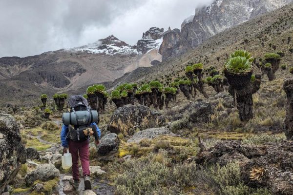 Mount Kenya Tours & Trips