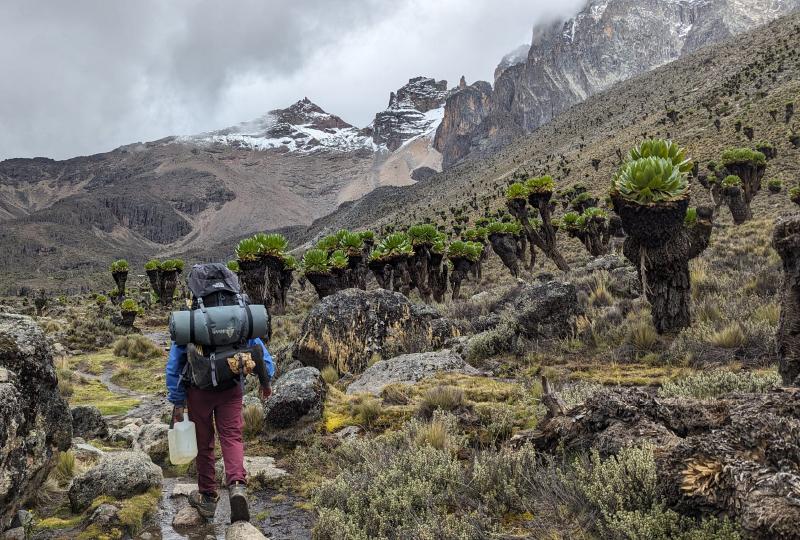 Mount Kenya Tours & Trips