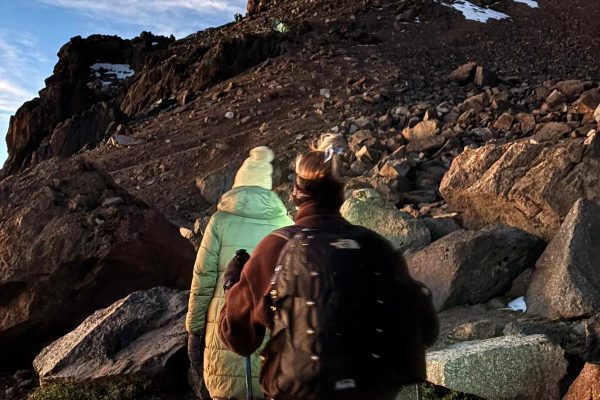 Safari Packages To Mount Kenya
