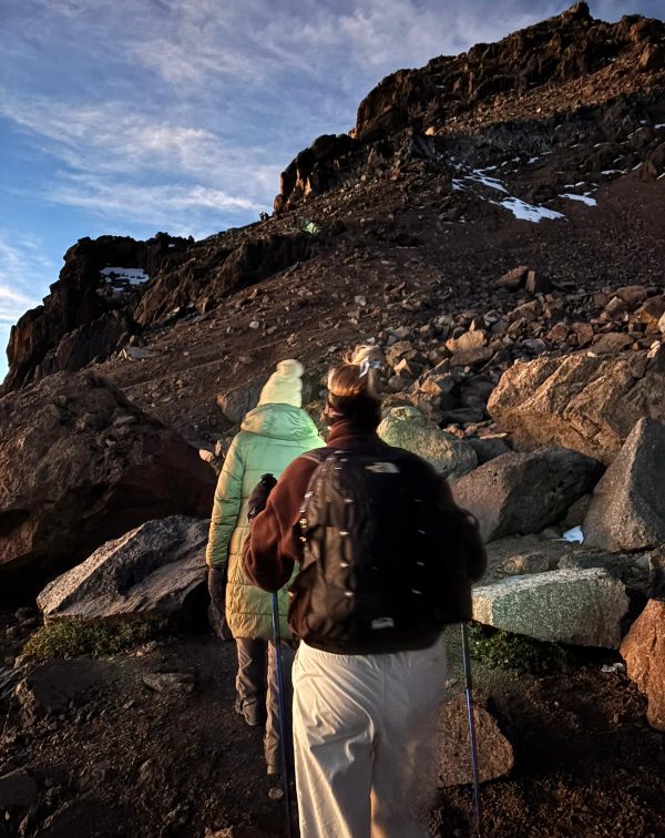 Safari Packages To Mount Kenya